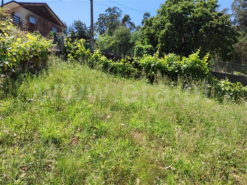 Terreno com ruina  Barcelos, Quintiães e Aguiar - 1420564 - 16