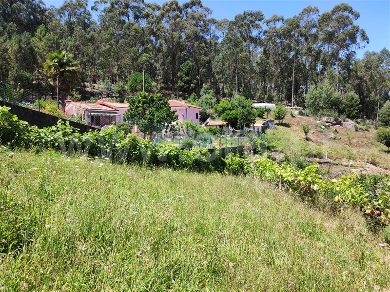 Terreno com ruina  Barcelos, Quintiães e Aguiar - 1420564 - 19