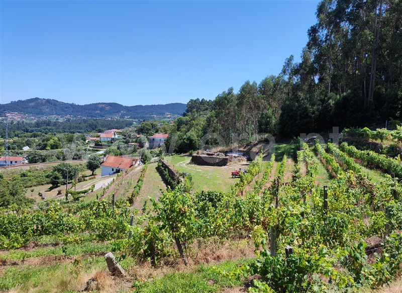 Terreno com ruina  Barcelos, Quintiães e Aguiar - 1420564 - 25