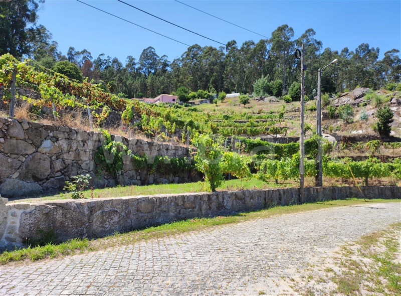 Terreno com ruina  Barcelos, Quintiães e Aguiar - 1420564 - 30