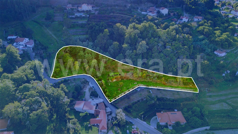Terreno com ruina / Barcelos, Quintiães e Aguiar