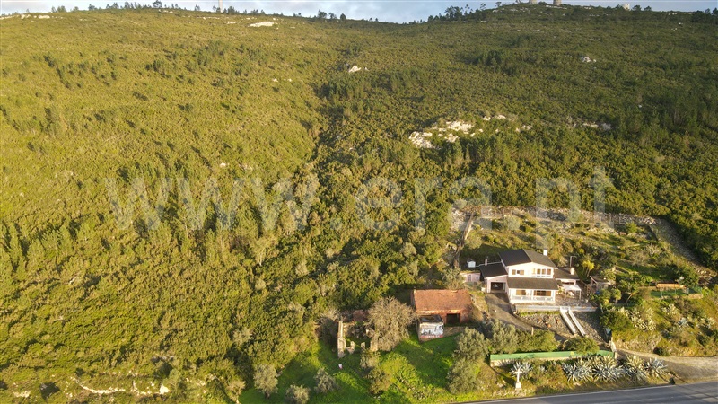 Terreno com ruina  Batalha, Reguengo do Fetal - 1303813 - 2