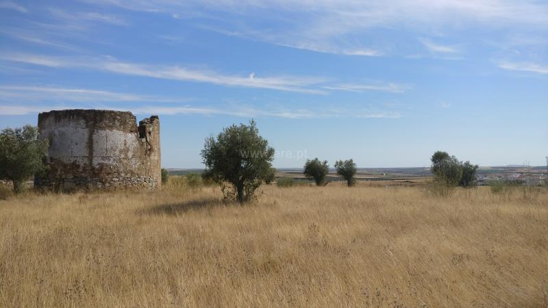 Terreno com ruina / Beja, Baleizão
