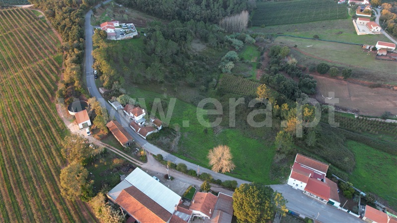Terreno com ruina / Caldas da Rainha, Alvorninha