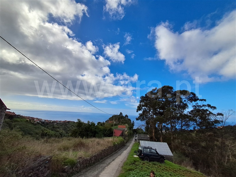 Terreno com ruina / Calheta (Madeira), Calheta