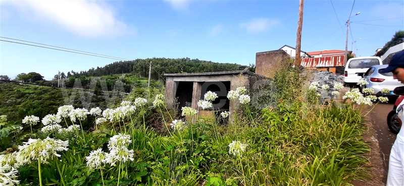 Terreno com ruina  Calheta (Madeira), Fajã da Ovelha - 1371917 - 7