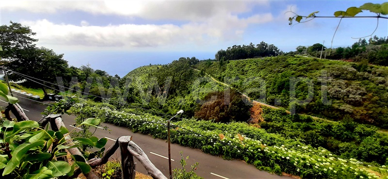 Terreno com ruina  Calheta (Madeira), Fajã da Ovelha - 1371917 - 13