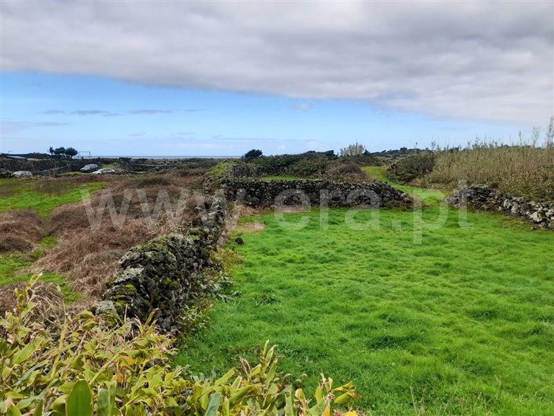 Terreno com ruina  Calheta (São Jorge), Ribeira Seca - 1415292 - 13