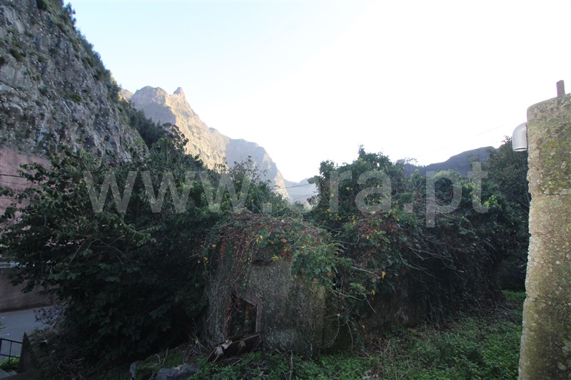 Terreno com ruina / Câmara de Lobos, Curral das Freiras
