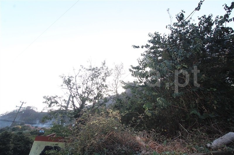 Terreno com ruina  Câmara de Lobos, Curral das Freiras - 1449417 - 4