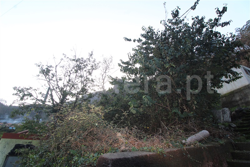 Terreno com ruina  Câmara de Lobos, Curral das Freiras - 1449417 - 5