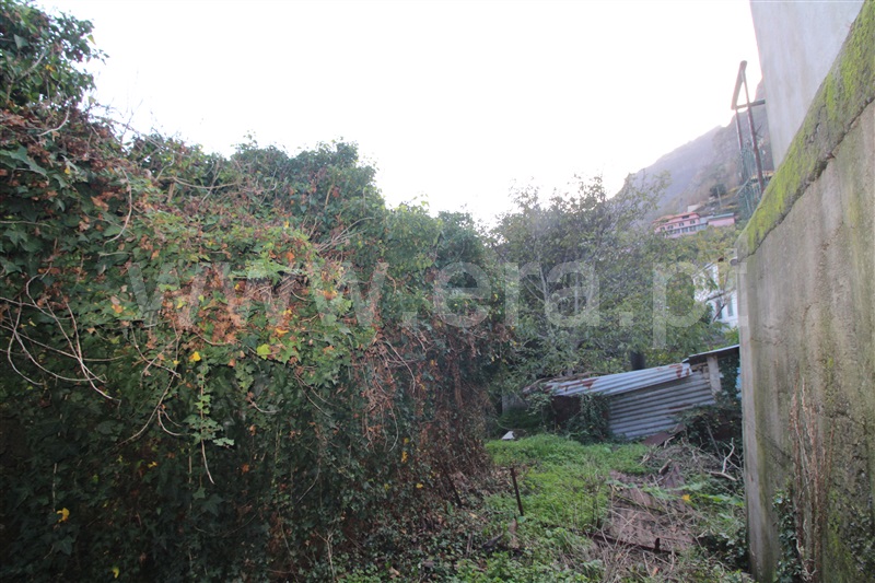 Terreno com ruina  Câmara de Lobos, Curral das Freiras - 1449417 - 6