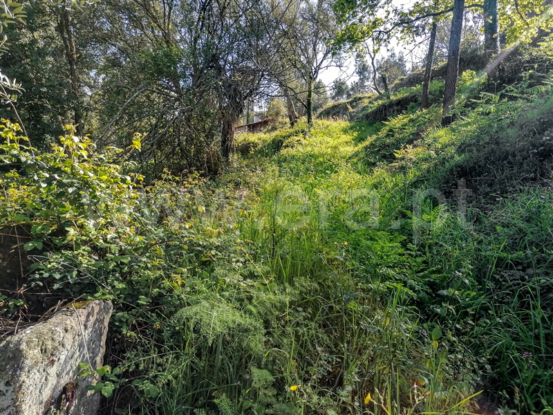 Terreno com ruina  Caminha, Venade e Azevedo - 1183907 - 3