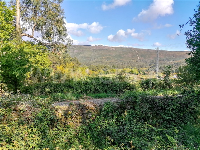 Terreno com ruina  Caminha, Venade e Azevedo - 1183907 - 4
