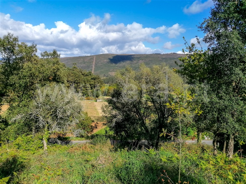 Terreno com ruina  Caminha, Venade e Azevedo - 1183907 - 6