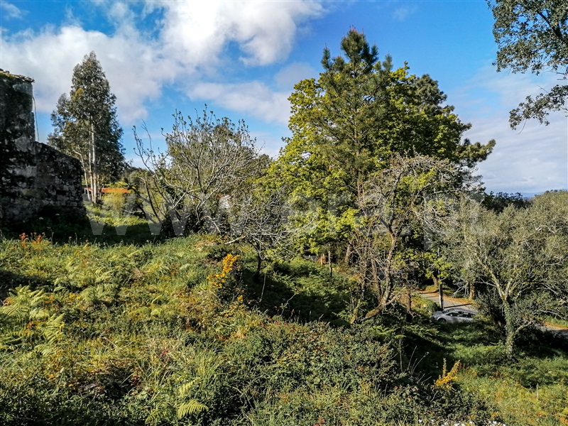Terreno com ruina  Caminha, Venade e Azevedo - 1183907 - 8