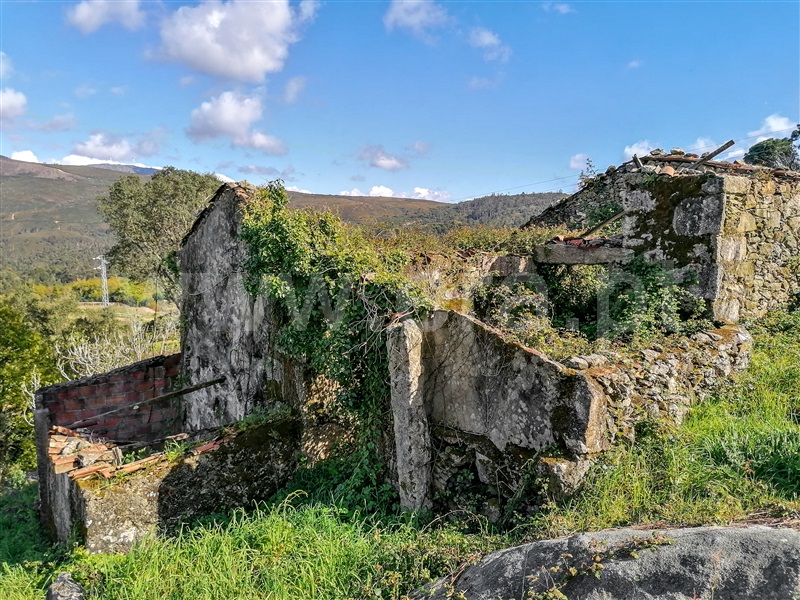Terreno com ruina  Caminha, Venade e Azevedo - 1183907 - 10