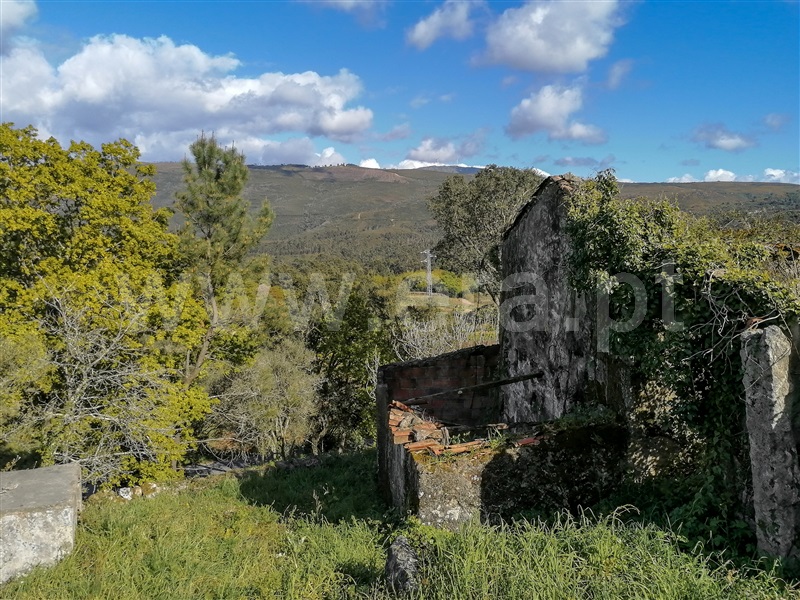 Terreno com ruina  Caminha, Venade e Azevedo - 1183907 - 11