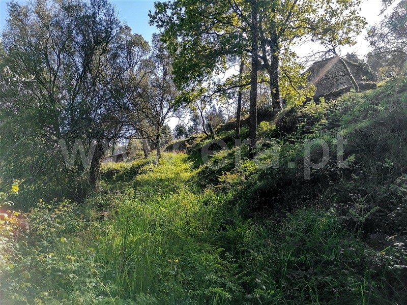 Terreno com ruina  Caminha, Venade e Azevedo - 1183907 - 2