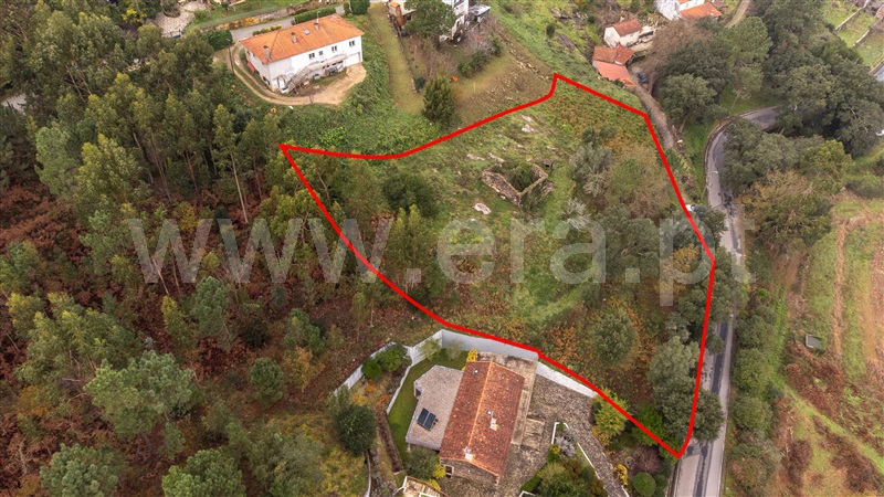 Terreno com ruina  Caminha, Venade e Azevedo - 1183907 - 17
