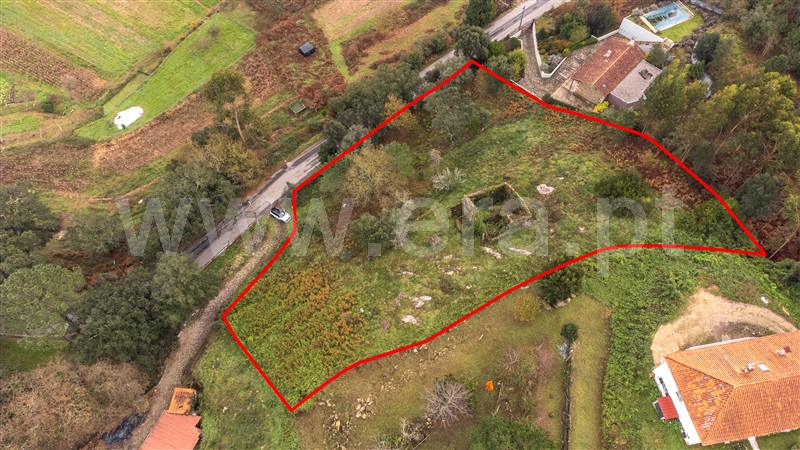 Terreno com ruina  Caminha, Venade e Azevedo - 1183907 - 19