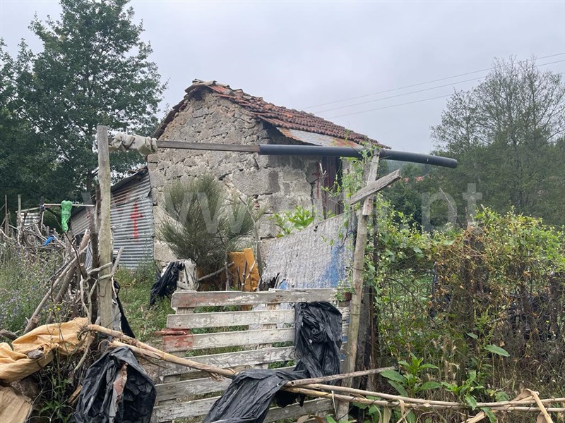 Terreno com ruina / Carregal do Sal, Beijós