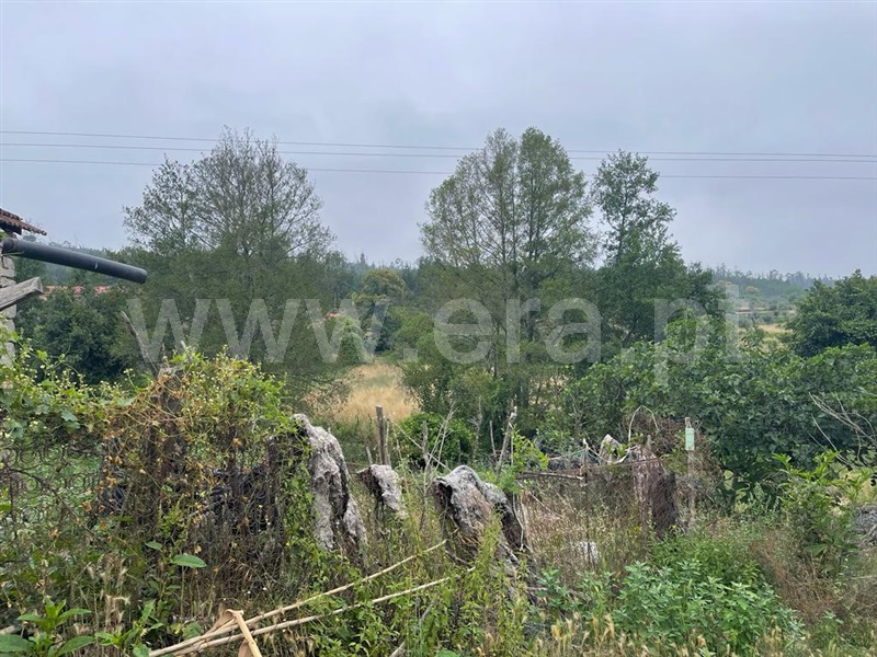 Terreno com ruina  Carregal do Sal, Beijós - 1335978 - 2