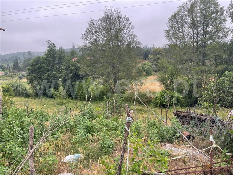 Terreno com ruina  Carregal do Sal, Beijós - 1335978 - 3