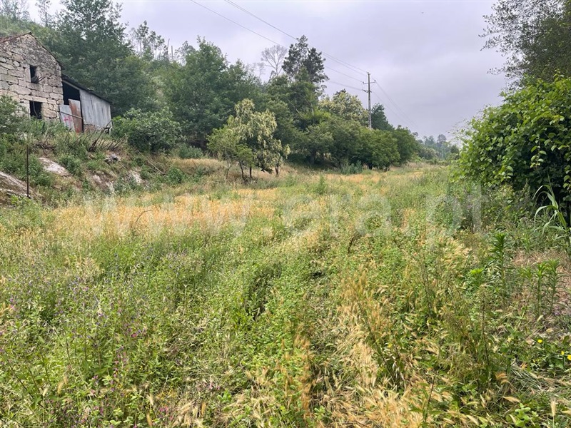 Terreno com ruina  Carregal do Sal, Beijós - 1335978 - 12