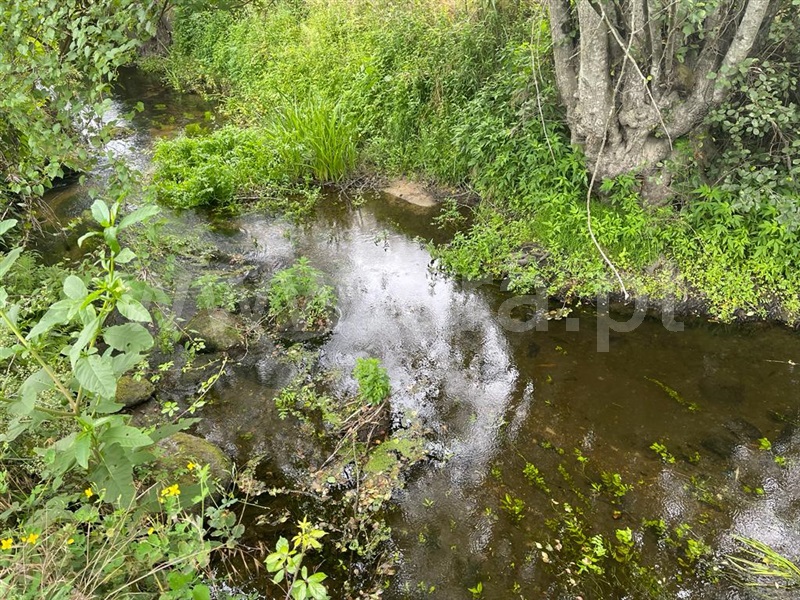 Terreno com ruina  Carregal do Sal, Beijós - 1335978 - 13