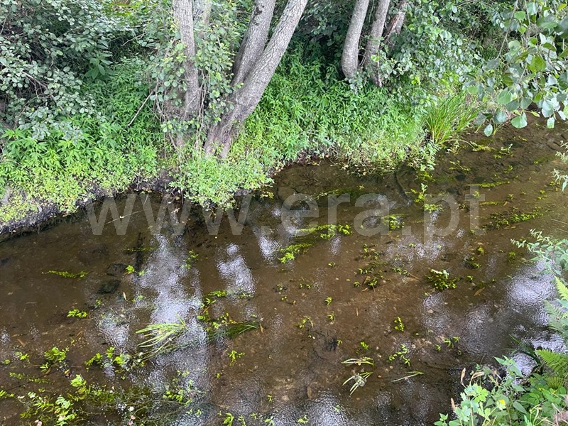 Terreno com ruina  Carregal do Sal, Beijós - 1335978 - 14