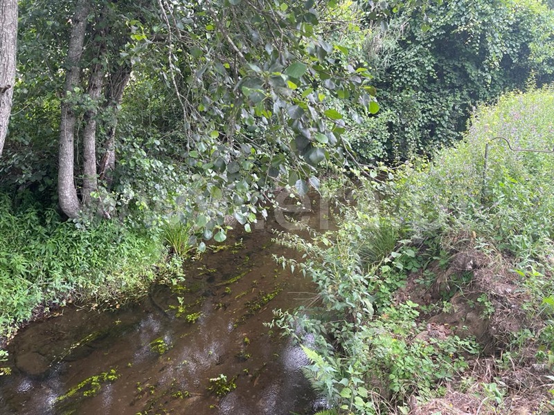 Terreno com ruina  Carregal do Sal, Beijós - 1335978 - 15