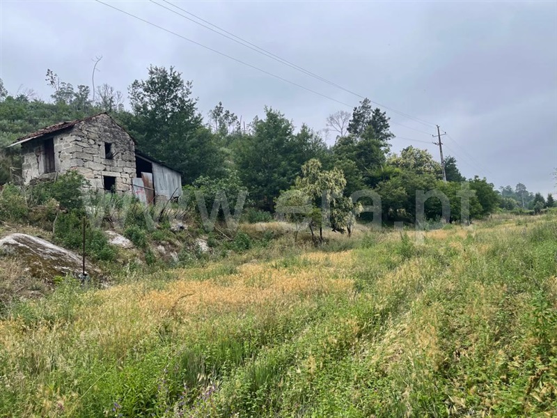Terreno com ruina  Carregal do Sal, Beijós - 1335978 - 17