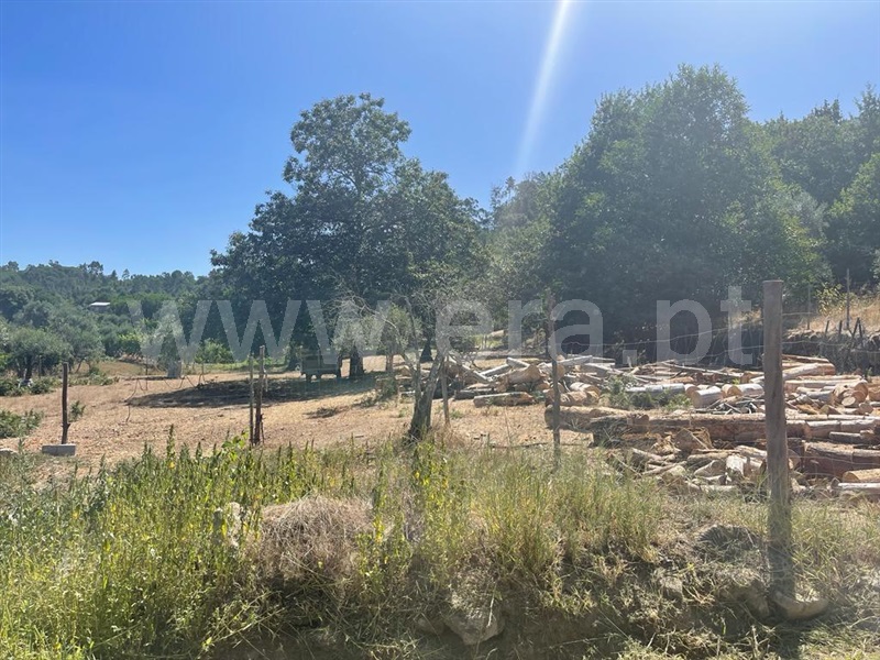 Terreno com ruina  Carregal do Sal, Beijós - 1347470 - 3