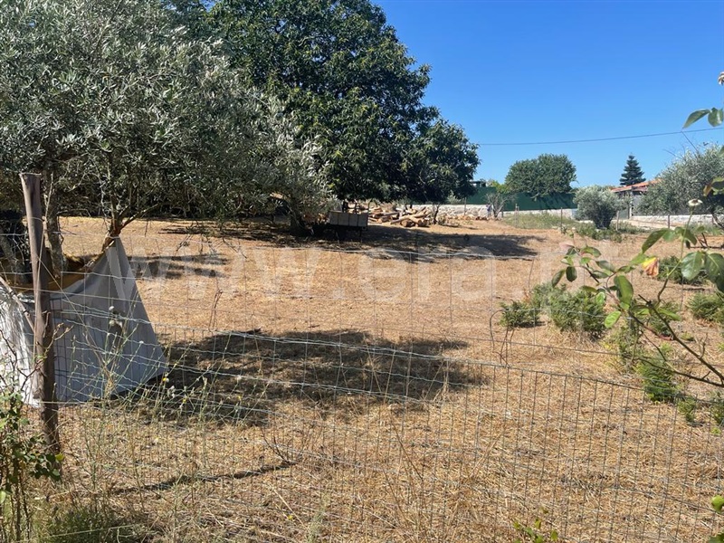 Terreno com ruina  Carregal do Sal, Beijós - 1347470 - 5