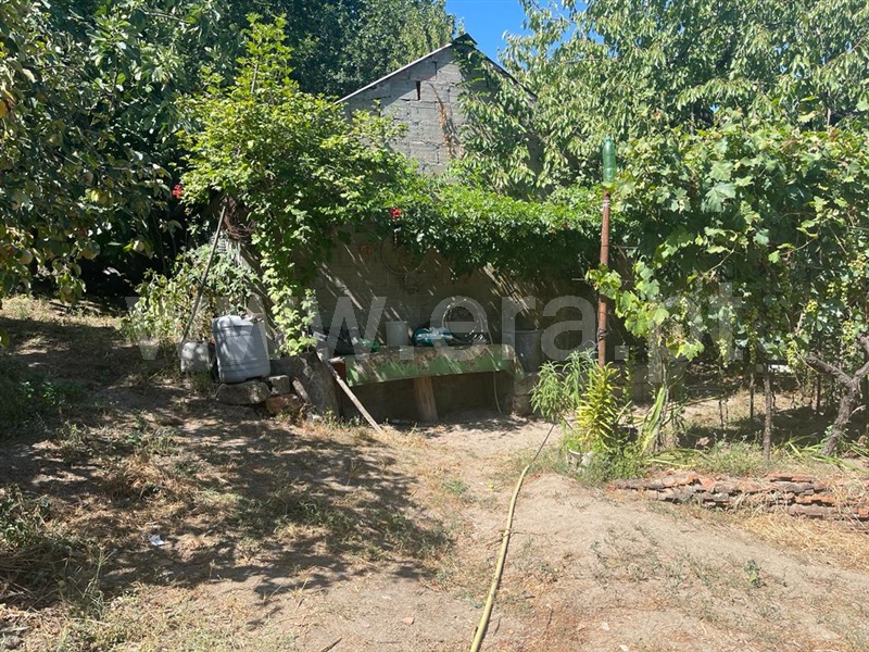 Terreno com ruina  Carregal do Sal, Beijós - 1347470 - 6