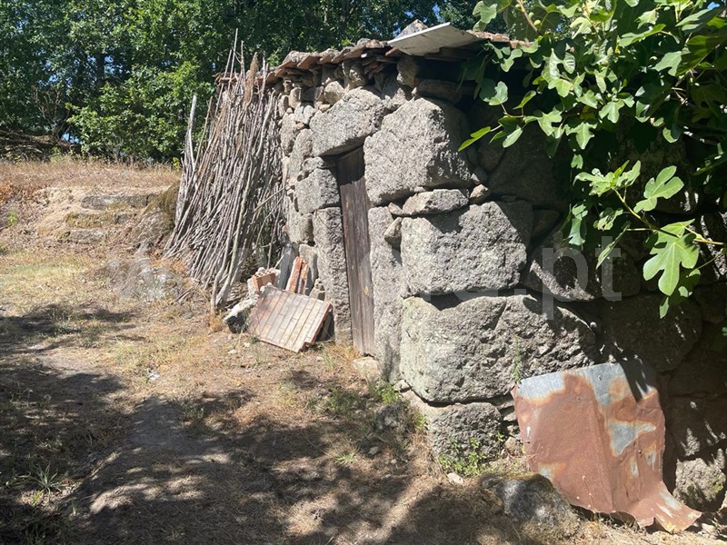 Terreno com ruina  Carregal do Sal, Beijós - 1347470 - 7