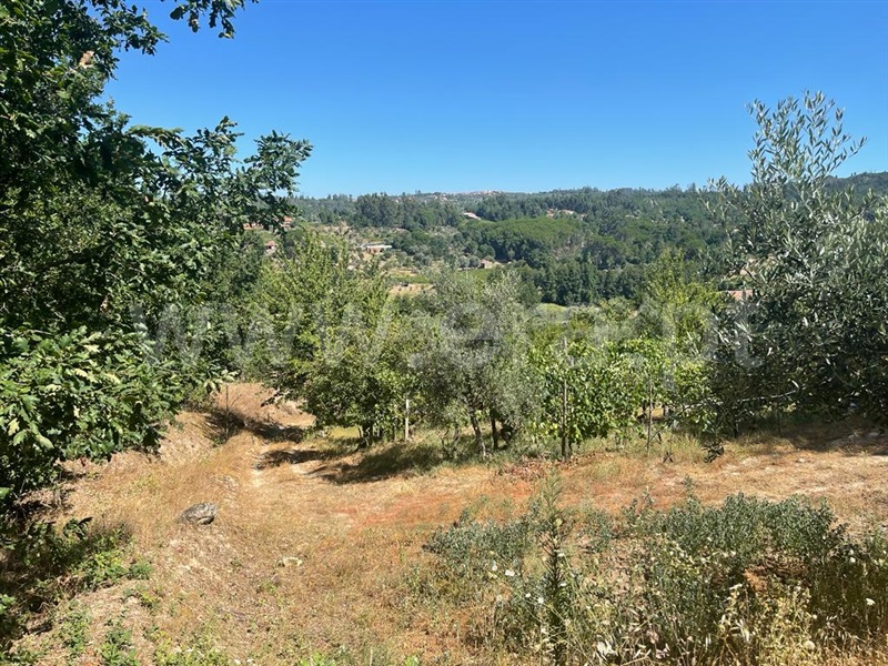 Terreno com ruina  Carregal do Sal, Beijós - 1347470 - 9