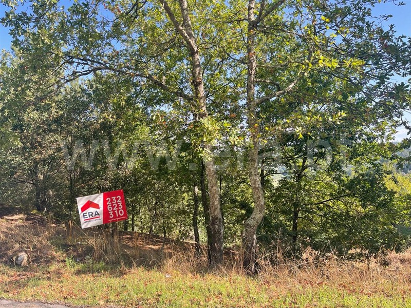 Terreno com ruina  Carregal do Sal, Beijós - 1347470 - 14