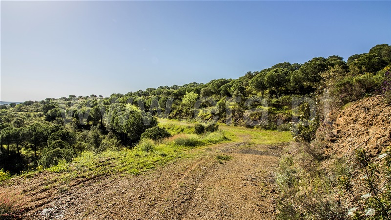 Terreno com ruina  Castro Marim, Odeleite - 1137488 - 4