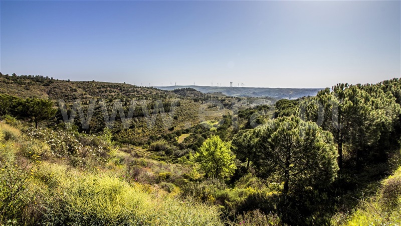 Terreno com ruina  Castro Marim, Odeleite - 1137488 - 5