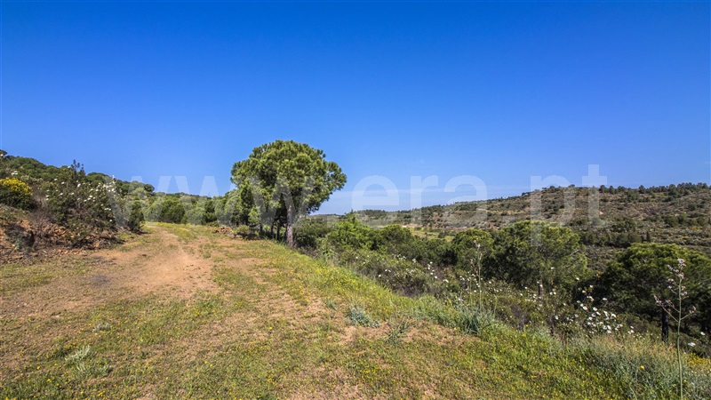 Terreno com ruina  Castro Marim, Odeleite - 1137488 - 8