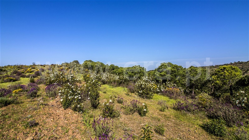 Terreno com ruina  Castro Marim, Odeleite - 1137488 - 11