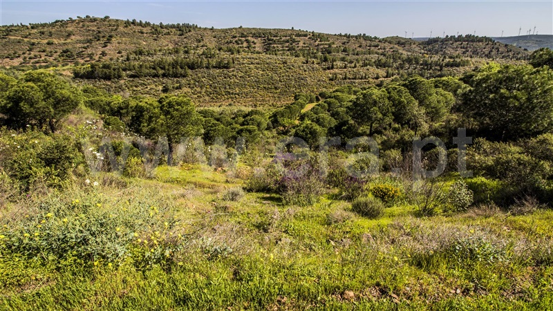 Terreno com ruina  Castro Marim, Odeleite - 1137488 - 12