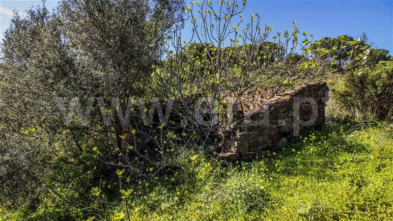 Terreno com ruina  Castro Marim, Odeleite - 1137488 - 13