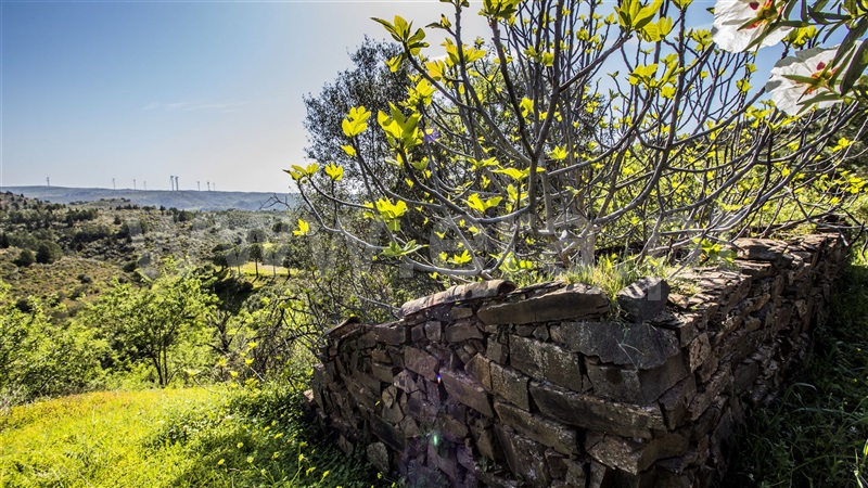 Terreno com ruina  Castro Marim, Odeleite - 1137488 - 14
