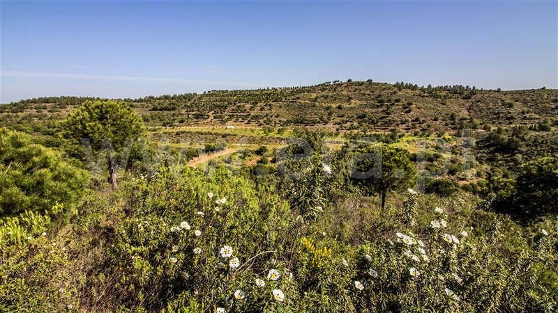 Terreno com ruina  Castro Marim, Odeleite - 1137488 - 15