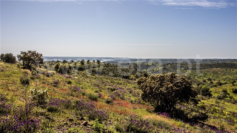 Terreno com ruina  Castro Marim, Odeleite - 1137488 - 16