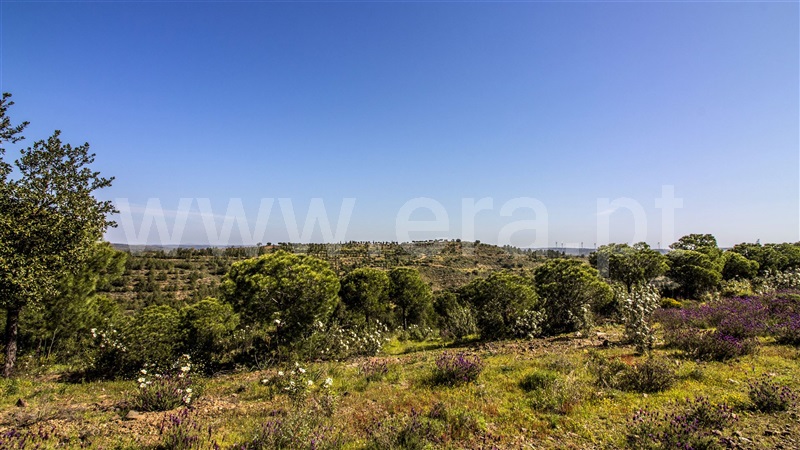 Terreno com ruina  Castro Marim, Odeleite - 1137488 - 17