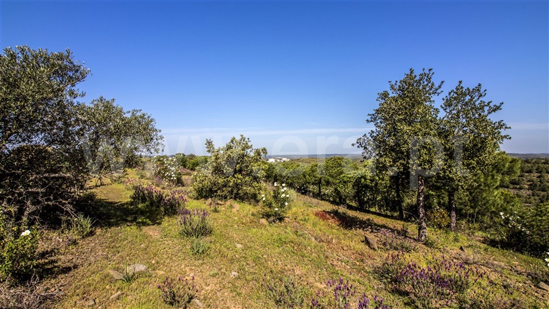 Terreno com ruina  Castro Marim, Odeleite - 1137488 - 18